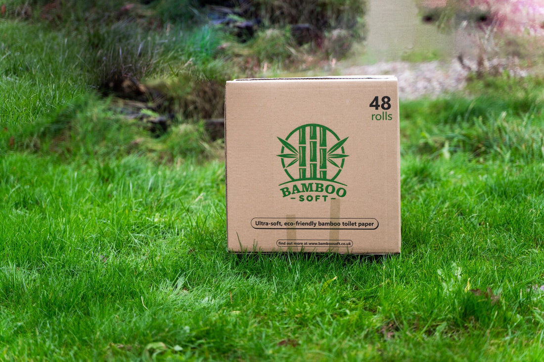 How is bamboo toilet paper made?